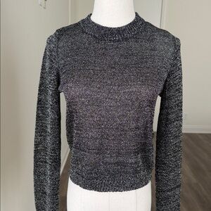 H&M sheer metallic crewneck sweater